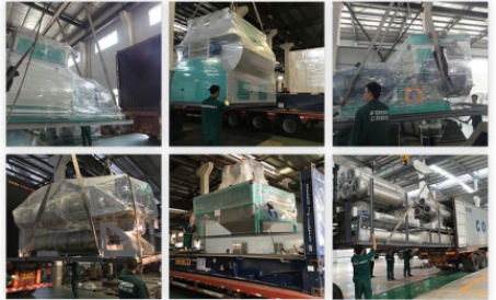 글로벌 시장에 직면하고 국제적인 브랜드 구축---이집트 50tph 가축 및 가금류 사료